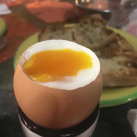 Campsite Le Coin Tranquille