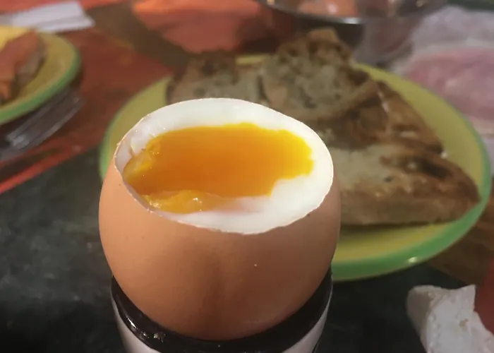 Kemp Le Coin Tranquille